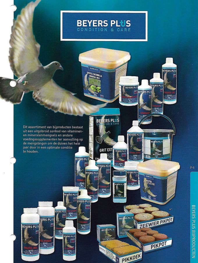 de supplementen van Beyers voor gezonde duiven met goede conditie
