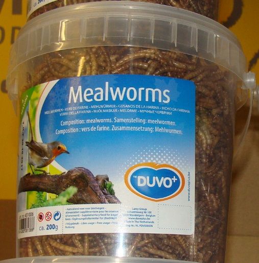 meelwormen